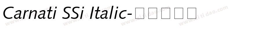 Carnati SSi Italic字体转换